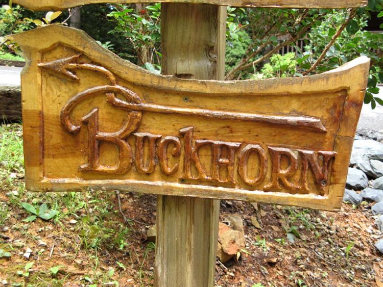 فيلا Buckhorn جاتلينبرج المظهر الخارجي الصورة